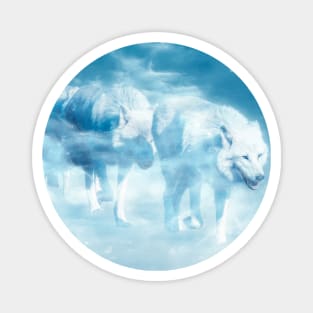 White Wolf Animal Wildlife Jungle Nature Free Adventure Discovery Magnet